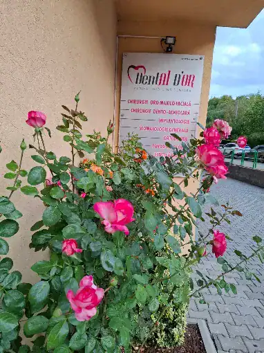 Intrarea în clinica Dental D'Or, Str. Suceava nr. 53